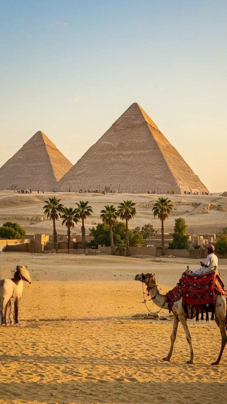 Camel Trekking in Egypt
